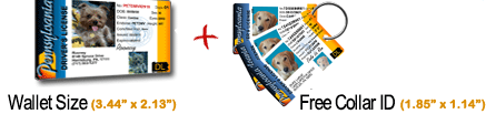 Collar ID and Pet ID