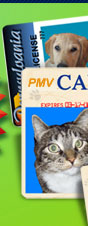 Pet ID Tag