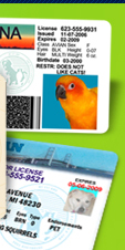 Pet State ID