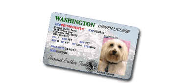 Pet ID Tag