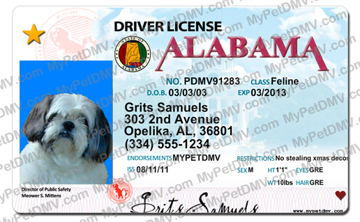 Alabama hunting license without drivers license