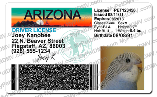 arizona driver license design