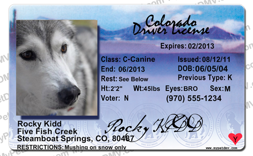 Colorado Drivers License Previous Type N Cement