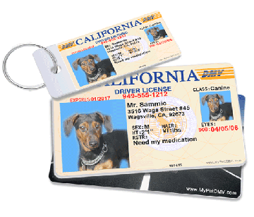 Official Pet Driver's License Tag for 