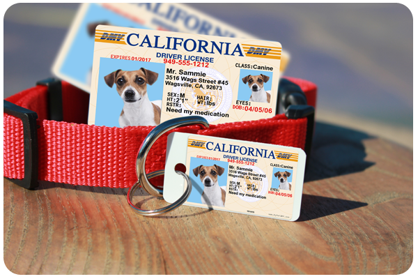 Personalized Pet Driver's License ID, helping keep pets safe with a lifetime guarantee and supporting pets in need.