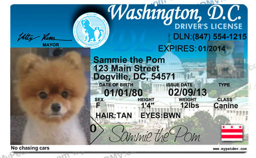 whats a dog license for