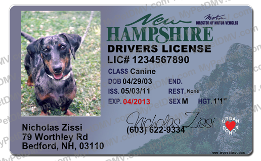 download the new version for ipod New Hampshire residential appliance installer license prep class