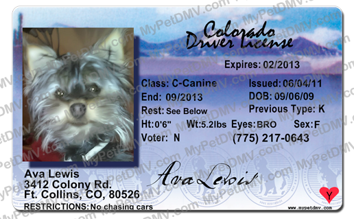 animal breeder license