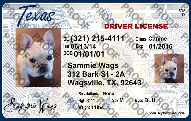 do you need a license to breed dogs in texas