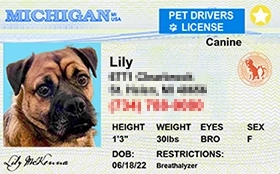 thumb-Pet-Licenses-for-State-BLUE-Michigan