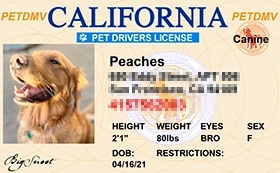 thumb-Pet-Licenses-for-State-California-Old-Version