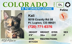 thumb-Pet-Licenses-for-State-Colorado