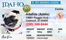 thumb-Pet-Licenses-for-State-Idaho.webp