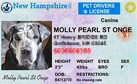 thumb-Pet-Licenses-for-State-New-Hampshire