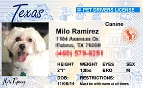 thumb-Pet-Licenses-for-State-Texas