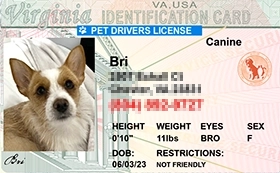 thumb-Pet-Licenses-for-State-Virginia