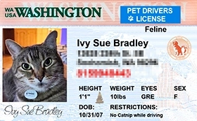 thumb-Pet-Licenses-for-State-wisconsin