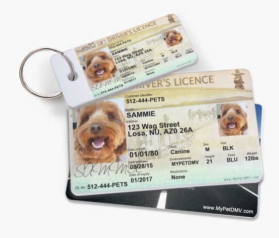 pet tags that look like license