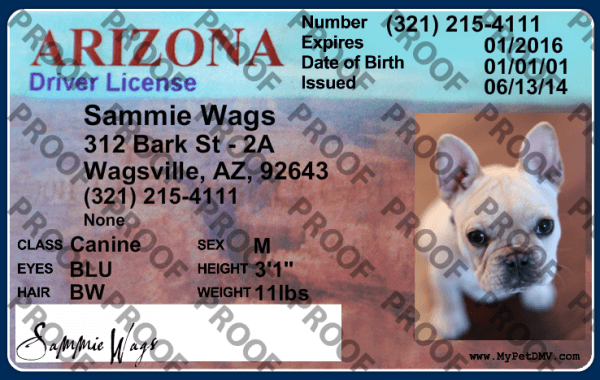 Arizona state pet licenses