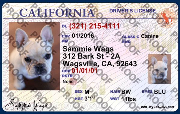 New California state pet licenses