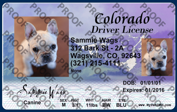 Colorado state pet licenses