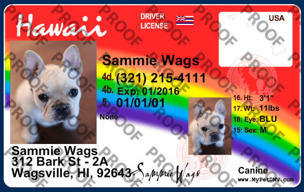 Hawaii state pet licenses