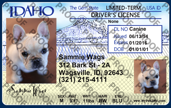 Idaho state pet licenses