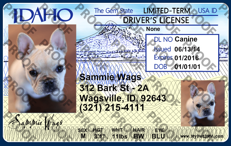 Dog state id hotsell