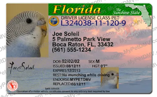 Example of Pet Licenses for State Florida