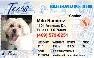 Pet Licenses for State Texas