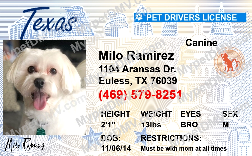 Texas state pet licenses